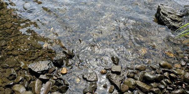 Afbeelding met buitenshuis, water, rots, Algen  Door AI gegenereerde inhoud is mogelijk onjuist.